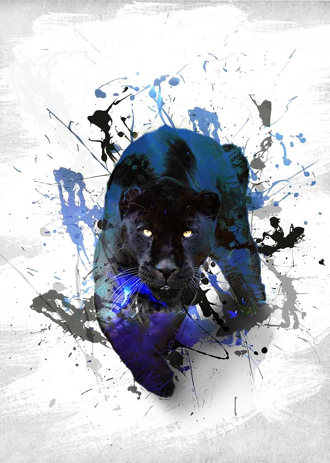 BLACK panther