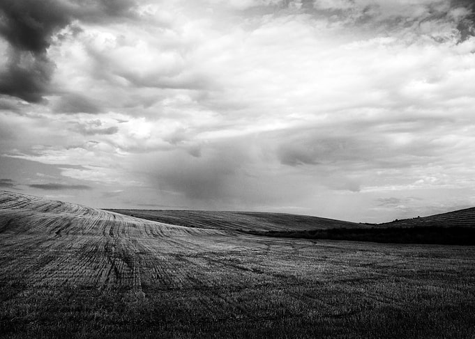Harvested wheat field