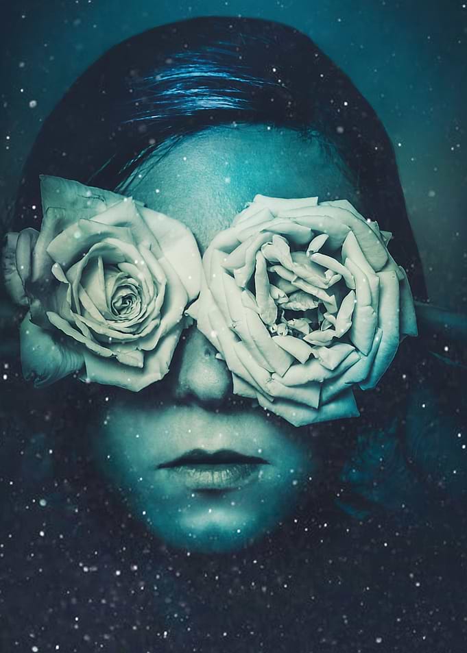 Wild Roses