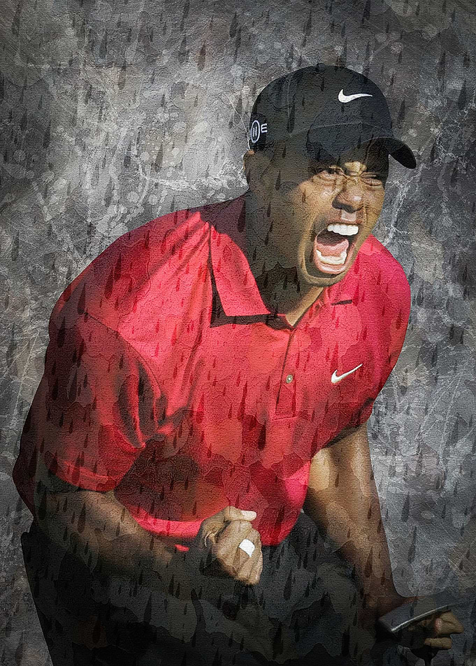 Tiger Woods Championship