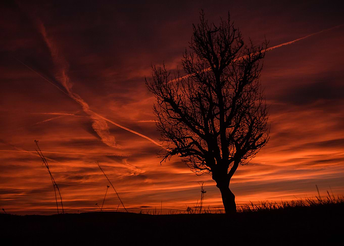 Sunset I