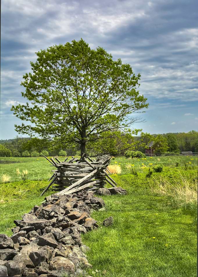 Long Fence
