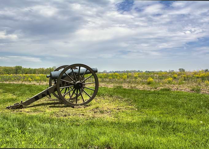 Lone Cannon