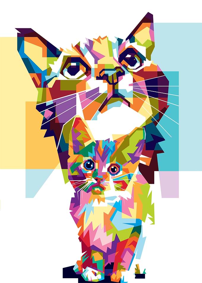 Colorul Cat Cats Animals