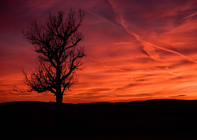 Sunset II