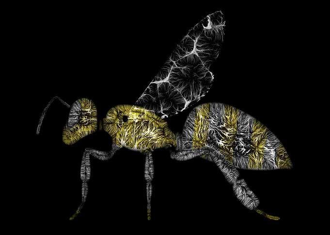 Bee