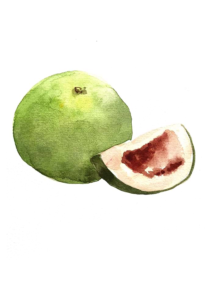 Fruit