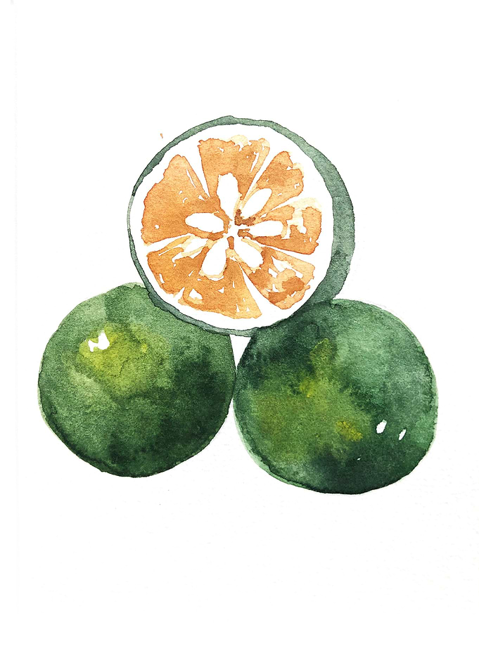 Fruit