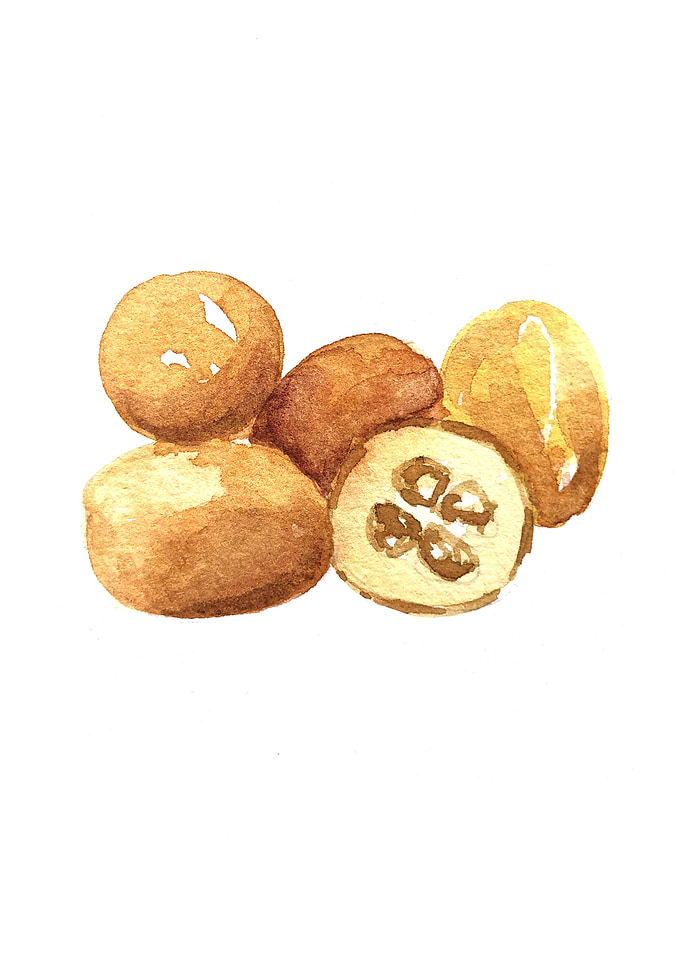 Fruit