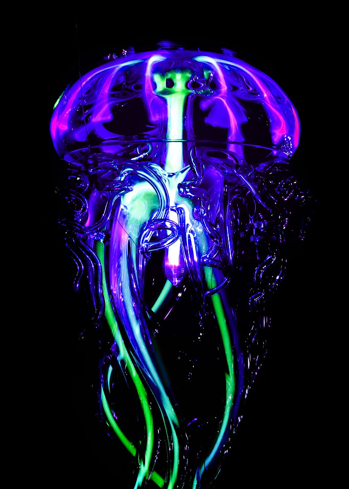Neon Jellyfish