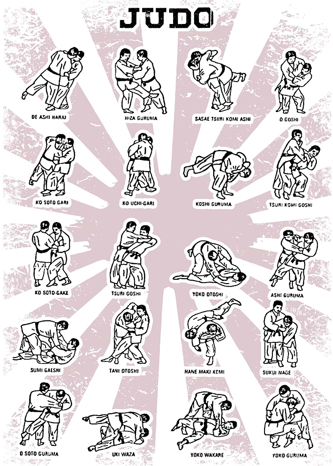 Judo Techniques Dojo Decor