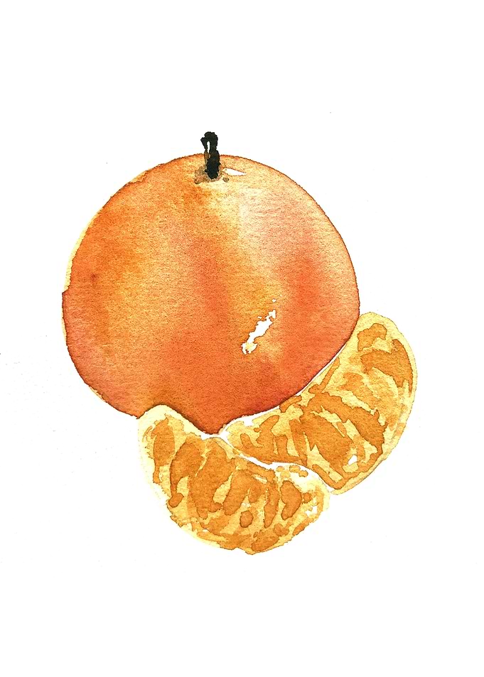 Fruit