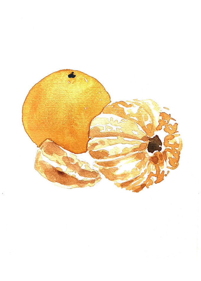 Fruit