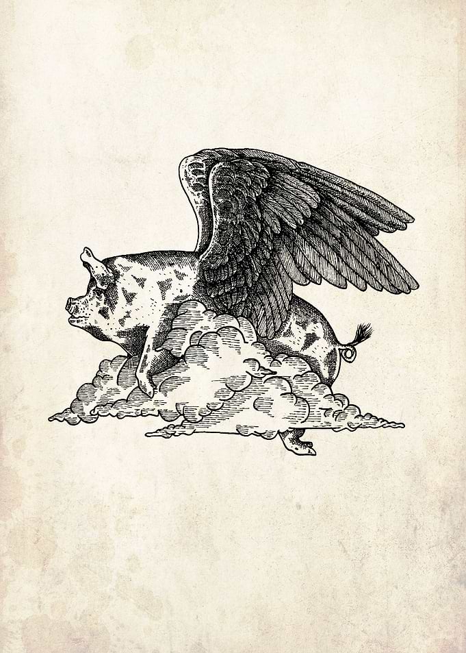 flying pig