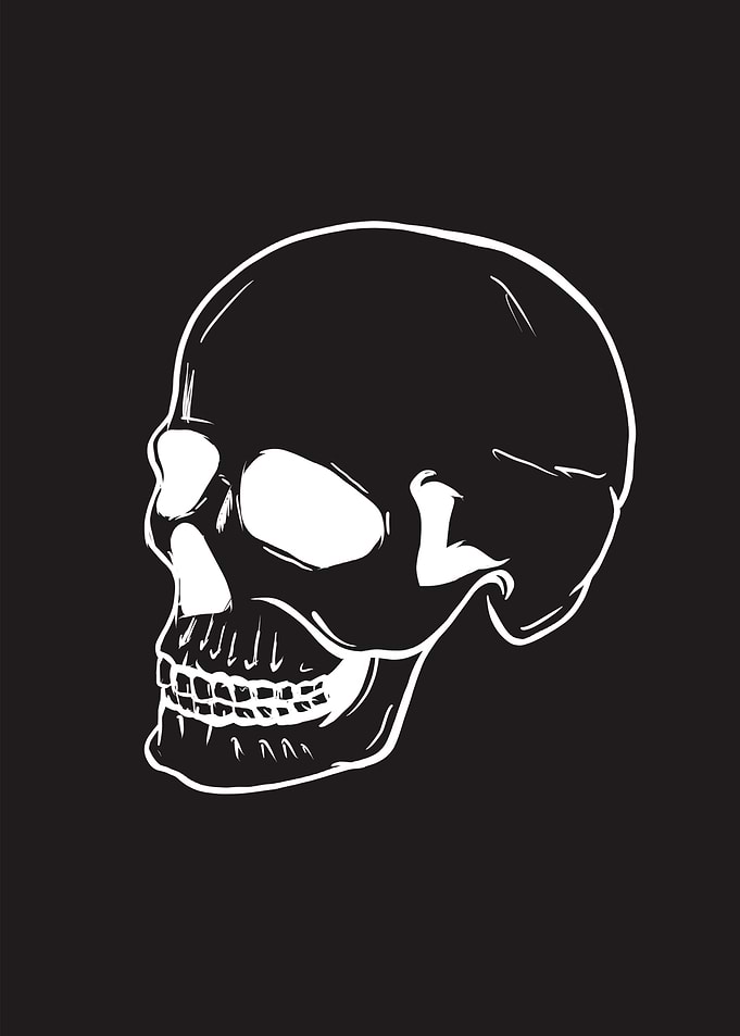 Minimalistic Skull Head