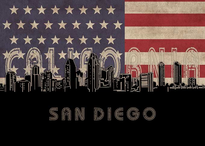san diego skyline flag