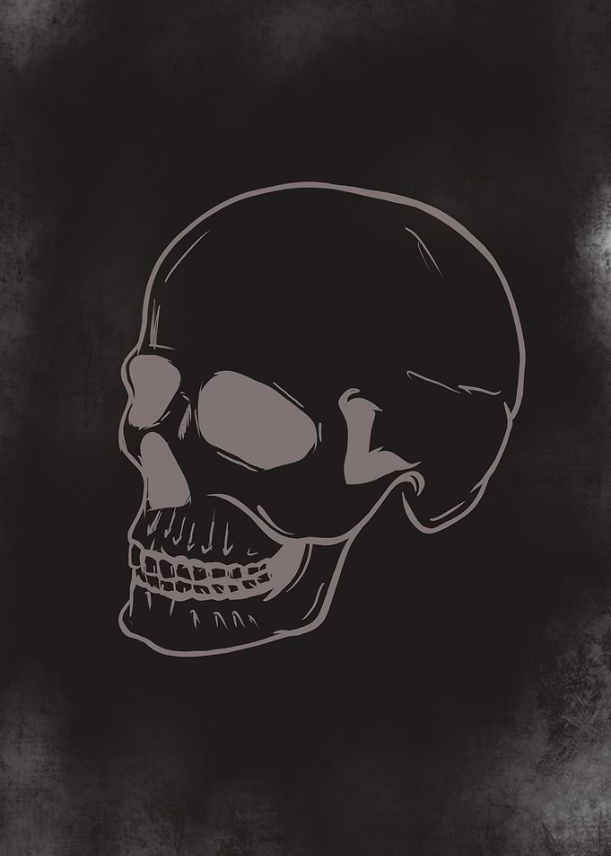 Skull Art
