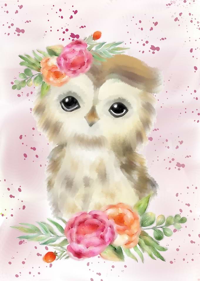 Baby Owl
