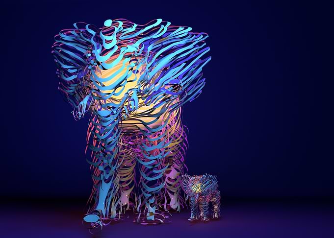 The Elephant Family