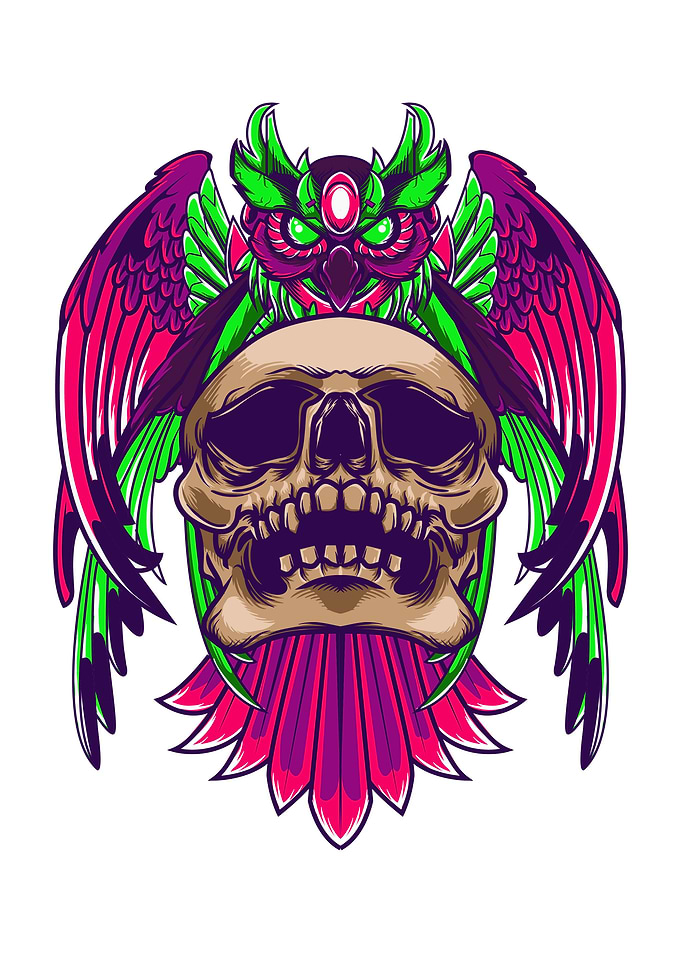 Owl And Skull