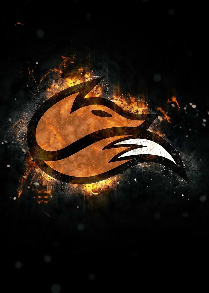 Echo Fox