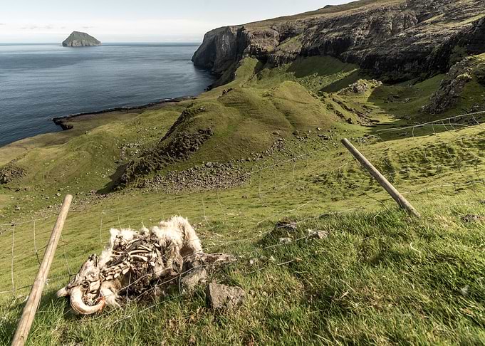Faroese landscape
