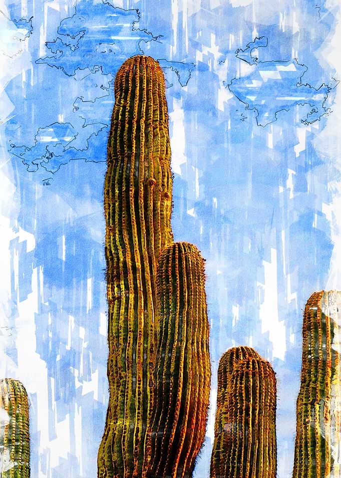 Tall Green Cactus Sketch