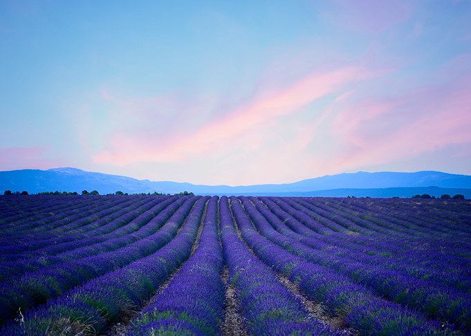 Provence France