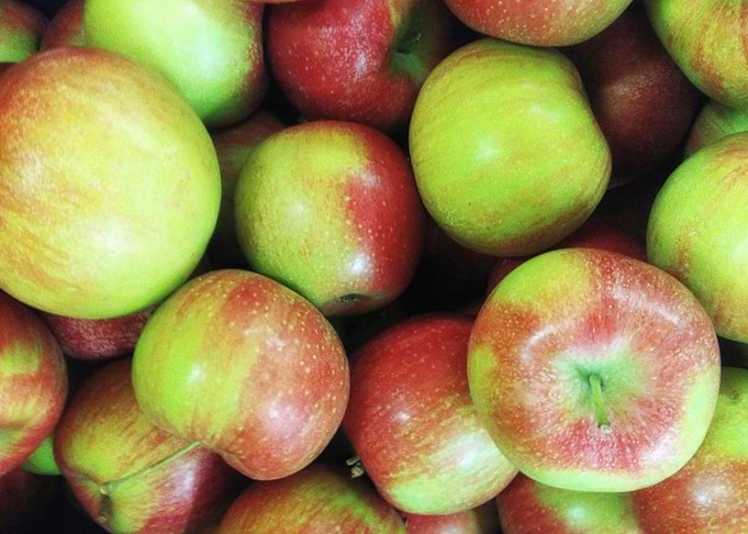 apples