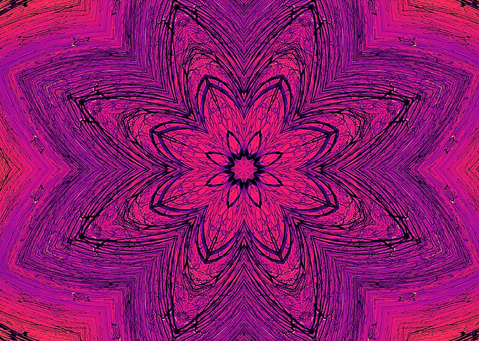 Purple Pink Flower