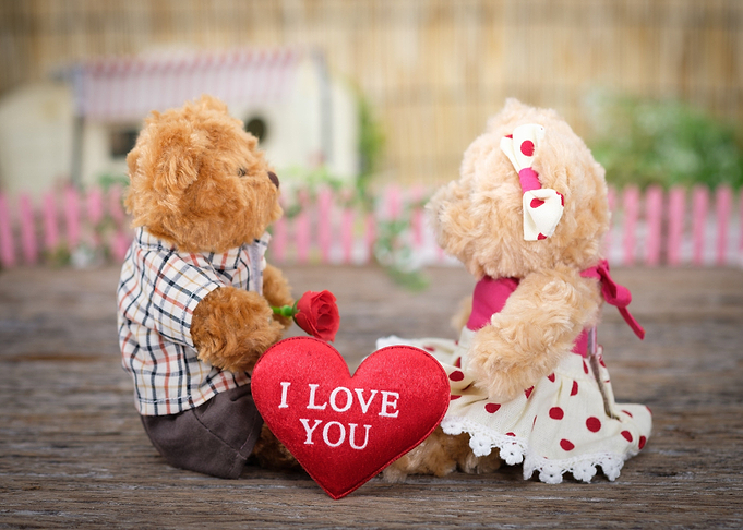 bear love