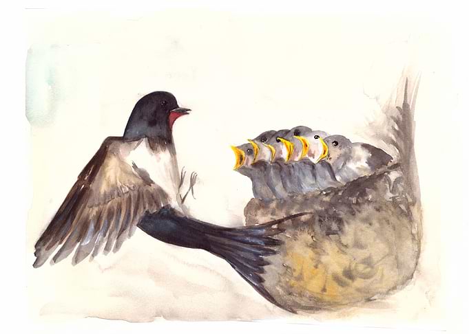 Watercolor Swallow Mother