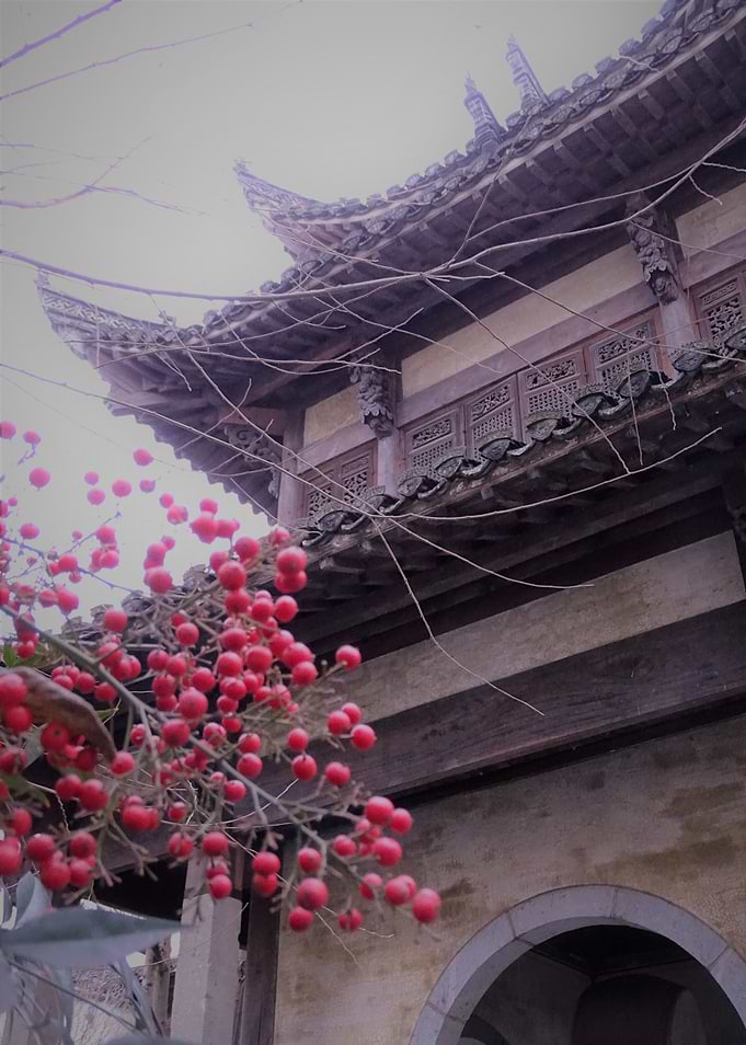red berries in china