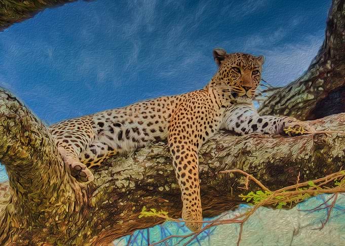 Panther on a tree
