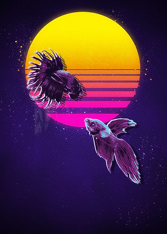 Latest drop