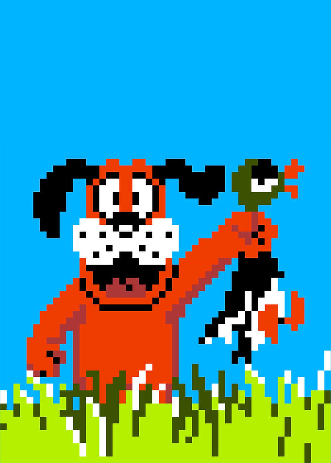 Duck Hunter