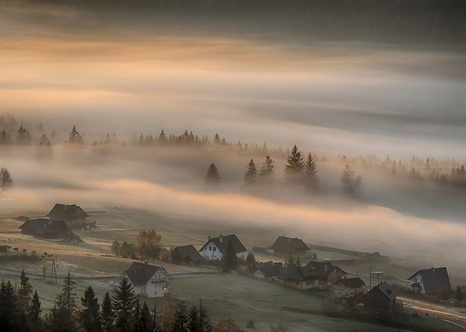 Foggy morning