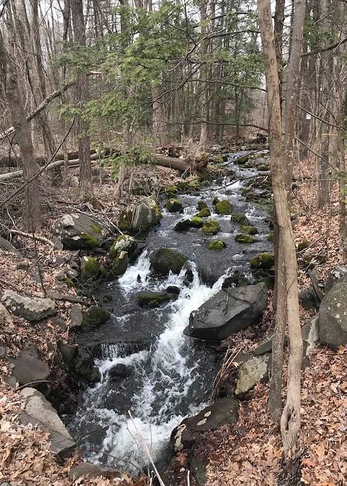 River runs