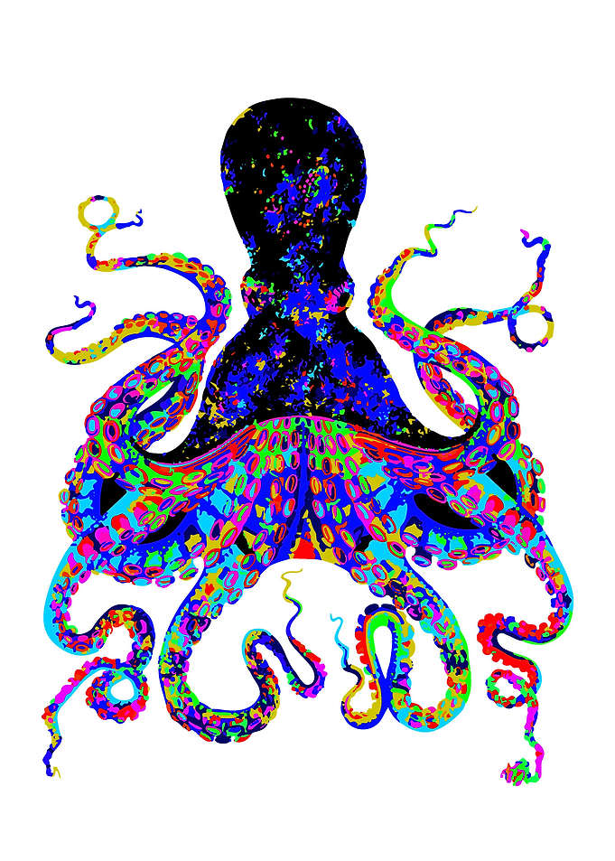 octopus animal colors