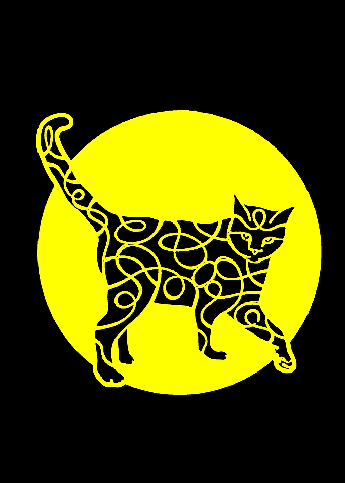 Look at that cat