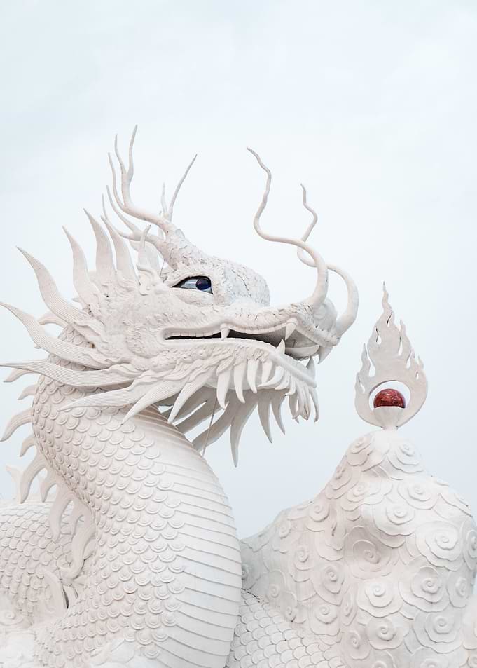 dragon white