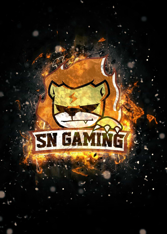 Suning Gaming