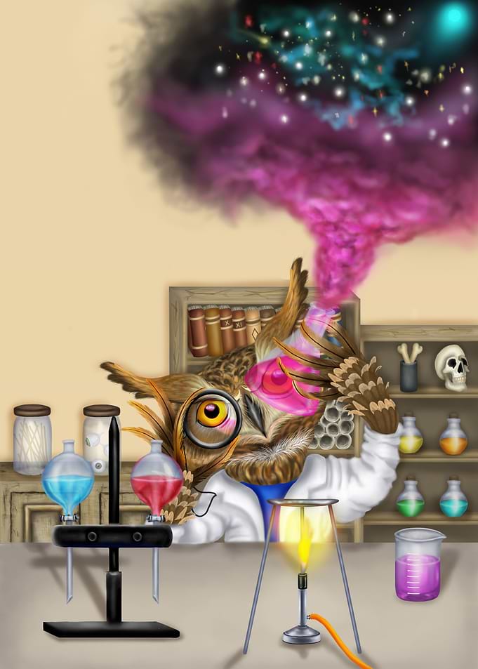 Experimental owl