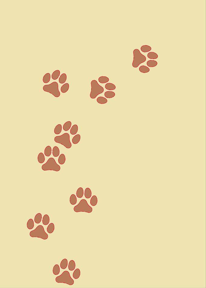 dog paws