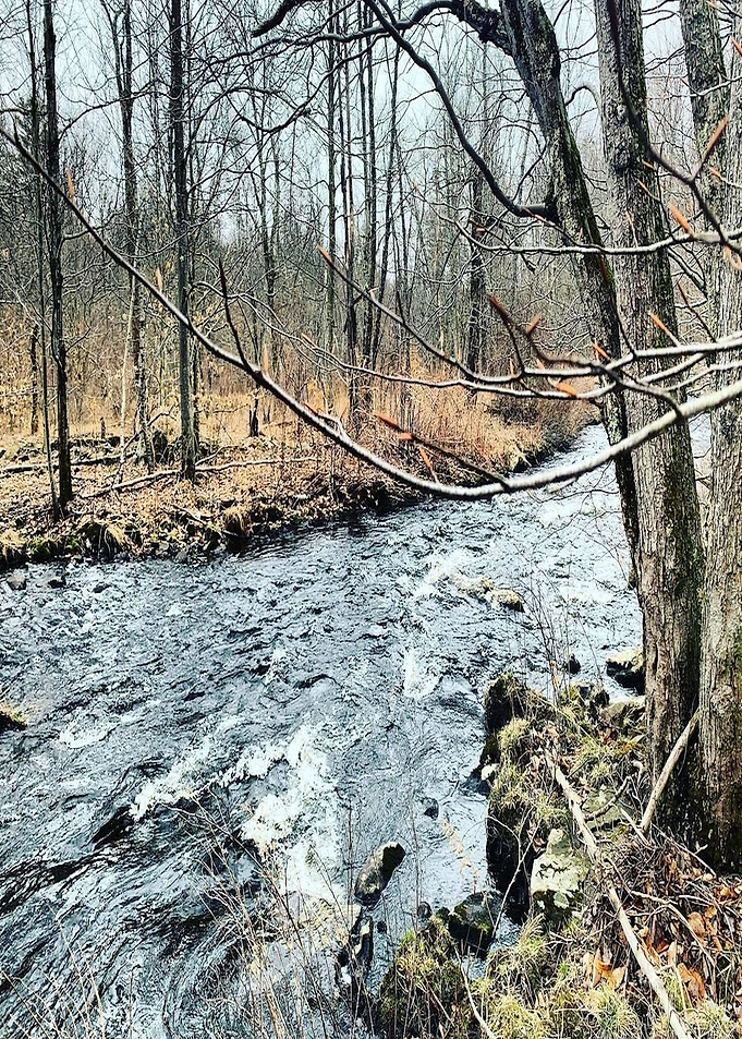 Early Spring Pond