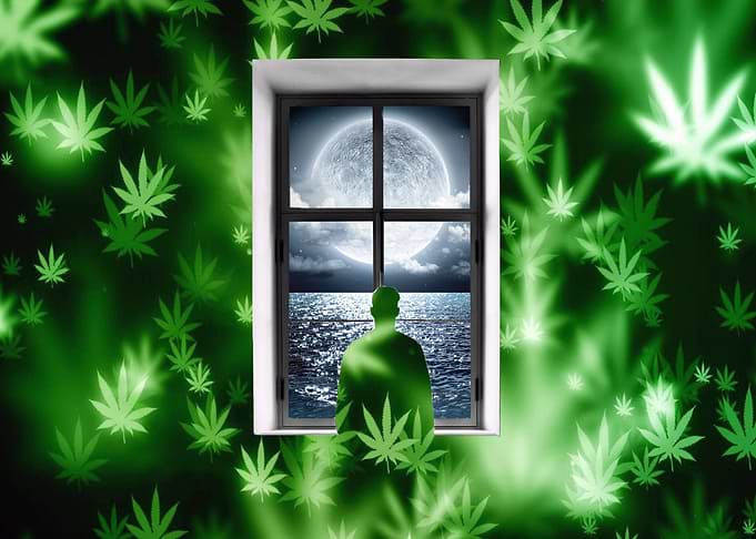 Moon weed