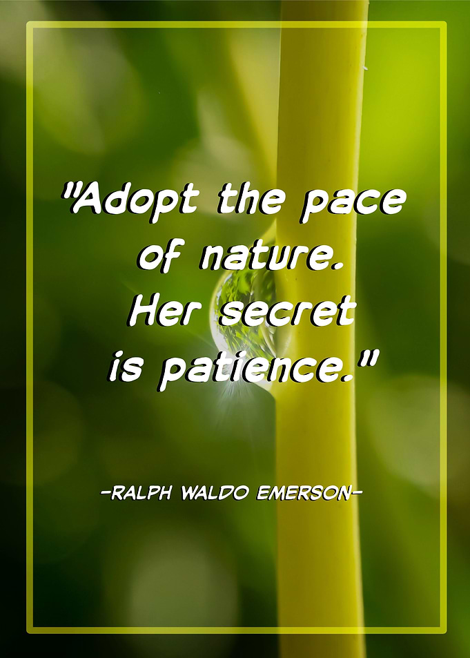 Natural background quotes