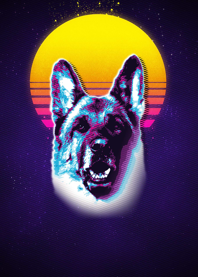 German Shepherd