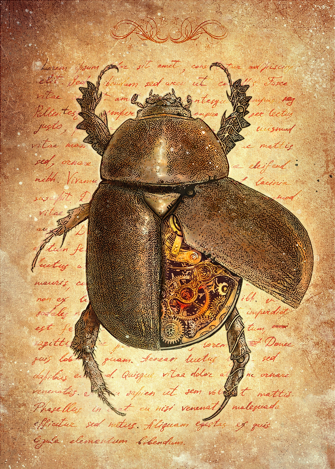 Beetle