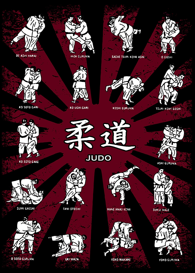 JUDO Dojo Decor